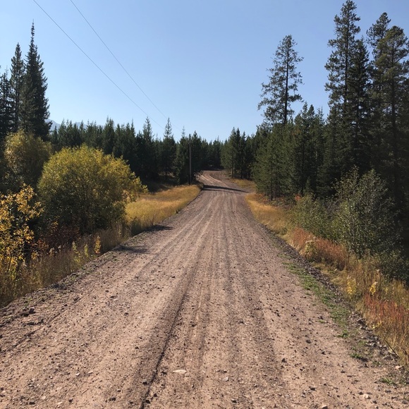 Meet your Posher, Ricky - Picture 3 of 8